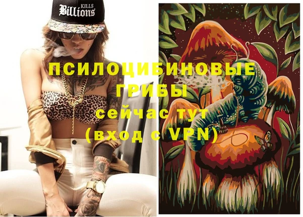 первитин Верхний Тагил