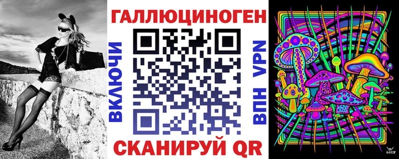 Галлюциногенные грибы Psilocybine cubensis  Ирбит 